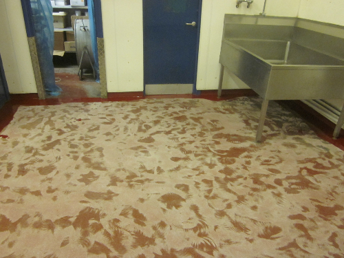 Dust Free Concrete Floor Grinding Newcastle Upon Tyne Dust Free Concrete Floor Grinding Newcastle Upon Tyne