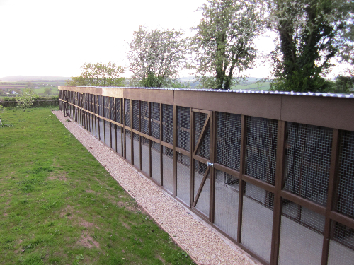 Cattery Flooring North East England Cattery Flooring North East England
