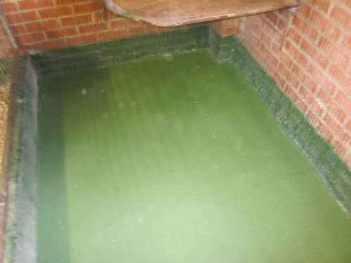 Anti Slip Dog Kennel Flooring Sunderland Tyne and Wear Anti Slip Dog Kennel Flooring Sunderland Tyne and Wear