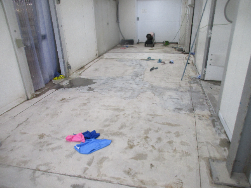 Dust Free Concrete Floor Grinding County Durham