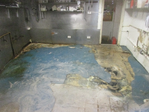 Removal of Defective vinyl flooring system Removal of Defective vinyl flooring system