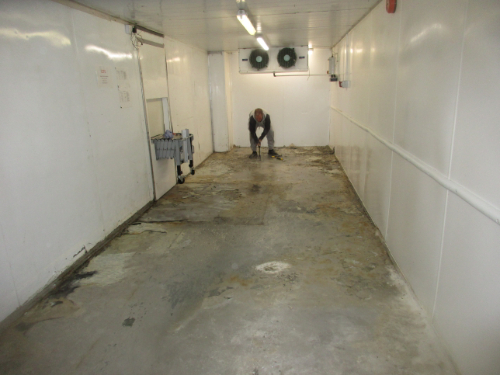 Substrate after Removal of Defective Vinyl Flooring Substrate after Removal of Defective Vinyl Flooring