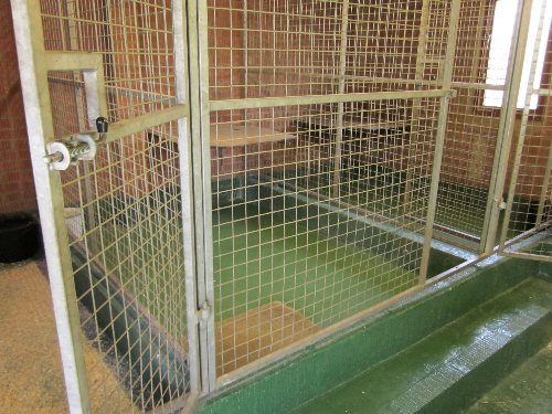 Seamless Dog Kennel Flooring Systems County Durham Seamless Dog Kennel Flooring Systems County Durham