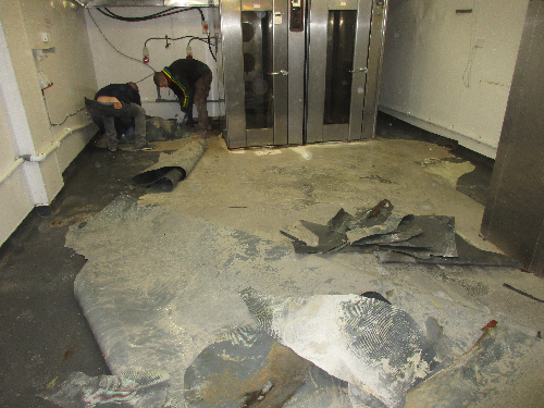 Removal of Defective Vinyl Floor North East England